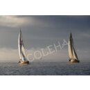 Postkarte COLEHA - Revierfotografie   105 x 148 mm